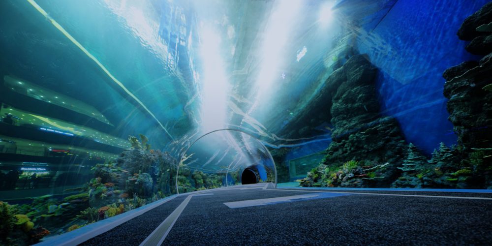 Acrylics Revamp Oceanariums：中国の深海技術ECOイノベーション