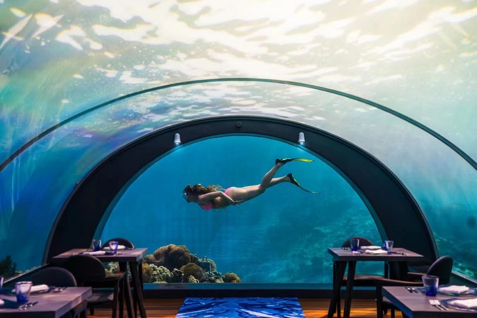 水族館の窓